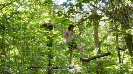 arbor et sens parcours bleu3