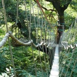 arbor et sens parcours sentier1