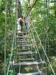 arbor et sens parcours vert1