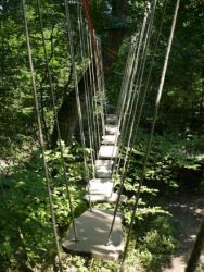 arbor et sens parcours vert2