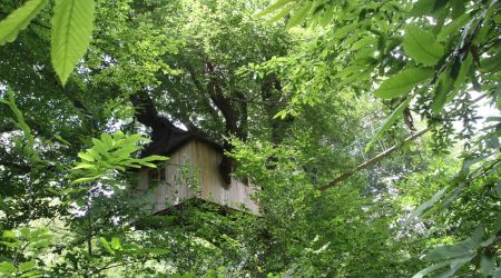 cabane perchee